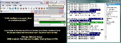 031312-wrbtrader-Price-Action-Trading-PnL-Blotter-Profit-1100.png