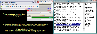 040412-wrbtrader-Price-Action-Trading-PnL-Blotter-Profit-160.png