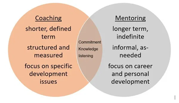 Coaching and Mentoring Programs